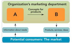 <strong>Section Break Figure 1-2   In Figure 1-2,A represents __________ and B represents __________.</strong> A) decisions by management; purchases by customers B) employees efforts; stakeholder rewards C) sales department; manufacturing department D) suppliers; distributors E) discovering consumer needs; satisfying consumer needs <div style=padding-top: 35px> 