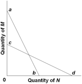 The budget line shift from ab to cd in the figure is consistent with
