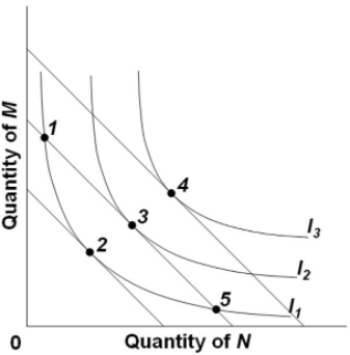 Refer to the diagram, in which the downsloping lines are budget lines and I<sub>1</sub>, I<sub>2</sub>, and I<sub>3</sub><sub> </sub>comprise an indifference map. The combinations of products M and N indicated by points 1, 2, and 5 are such that