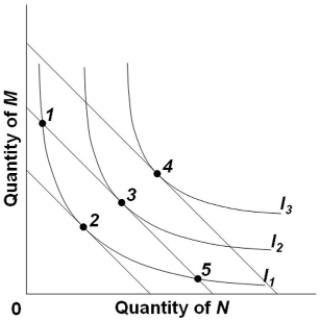 Refer to the diagram, in which the downsloping lines are budget lines and I<sub>1</sub>, I<sub>2</sub>, and I<sub>3</sub><sub> </sub>comprise an indifference map. The combinations of products M and N indicated by points 1, 3, and 5 are such that