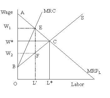 <strong>In Figure 45.2, at the perfectly competitive equilibrium, the number of workers hired will be Figure 45.2</strong> A)L' B)L* C)less than L' D)between L' and L*