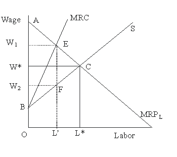 <strong>In Figure 45.2, at the perfectly competitive equilibrium, the wage will be Figure 45.2</strong> A)W* B)W<sub>1</sub> C)W<sub>2</sub> D)between W<sub>1</sub> and W<sub>2</sub>