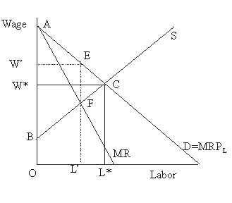 <strong>In Figure 45.4, when compared to the perfectly competitive equilibrium, the number of workers hired as a result of unionization Figure 45.4</strong> A)decreases from L* to L'. B)increases from L' to L*. C)remains at L'. D)remains at L*.