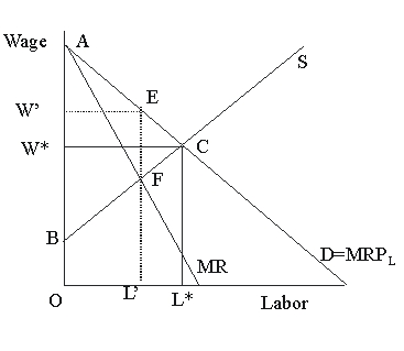 <strong>In Figure 45.4, it is clearly the case that Figure 45.4</strong> A)the total amount paid to workers depends upon the elasticity of labor demand. B)the total amount of labor employed is less under perfect competition than unionization. C)every individual worker is better off under perfect competition than unionization. D)every individual worker is better off under unionization than perfect competition.