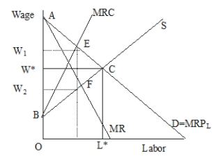<strong>In Figure 45.5, where one union is bargaining against one employer, the highest possible negotiated wage paid to workers will be Figure 45.5</strong> A)W*. B)W<sub>1</sub><sub>.</sub> C)W<sub>2</sub><sub>.</sub> D)an undetermined point between W<sub>1</sub> and W<sub>2</sub><sub>.</sub>