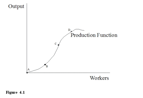 <strong>Refer to Figure 4.1, the increase in output from point B to C is greater than the increase in output from point C to D because </strong> A)more workers always produce more. B)better workers are usually hired after the earlier ones. C)a small number of workers cannot take as good advantage of the division of labor as a larger number. D)eventually workers are up against the fact that there are fixed inputs and more workers do not add as much.