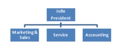 Julio is the owner of Celebration, Inc., a small party supply company. The company provides tents, tables, chairs, and related paraphernalia for wedding, Bar Mitzvah, Bat Mitzvah, graduation, birthday, and other celebratory events. As sales have increased, the organization has hired more personnel and departmentalized to more efficiently handle purchasing, sales, service, and accounting. Everyone is still responsible for achieving company goals. Upon seeing Celebration's organization chart, you agree it uses a _______________.