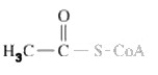 <strong>What important high energy functional group is shown in molecule shown? </strong> A)Methyl. B)Ketone. C)Thioester. D)Thioanhydride.