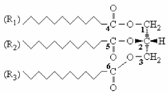 <strong>Which bonds of the triacylglycerol shown are hydrolyzed by pancreatic lipase? </strong> A)The carbon-carbon bonds between atoms 1,2 and 3. B)The ester bond at carbon 2 only. C)The bonds between the carbonyl carbons 4 and 6 and the first carbon of the hydrocarbon chains. D)The ester bonds at carbons 1 and 3 only.