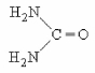<strong>The structure shown below is ________. </strong> A)urea B)uridine C)uric acid D)carbodiamine