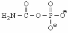 <strong>The enzyme ________ is one of the most abundant in liver mitochondria and catalyzes the synthesis of the molecule shown below. </strong> A)arginase B)carbamoyl phosphate synthetase I C)4-α-carbinolamine dehydratase D)transaminase