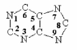<strong>The purine ring system is shown below.What is the source of the C-6 atom during de novo biosynthesis of purines?  </strong> A)Carbon dioxide. B)Tetrahydrofolate. C)Carbamoyl phosphate. D)Glycine. <div style=padding-top: 35px> 
