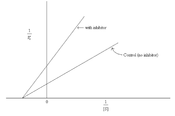 <strong>What type of inhibition is indicated by the data graphed below?  </strong> A)Competitive. B)Uncompetitive. C)Noncompetitive. D)Irreversible. <div style=padding-top: 35px> 