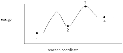<strong>On the energy diagram below,which point represents an intermediate?  </strong> A)Point 1 B)Point 2 C)Point 3 D)Point 4 <div style=padding-top: 35px> 