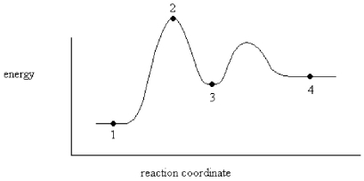 <strong>An enzyme stabilizes the transition state that is bound in the active site.What effect will this have on the energy diagram below? The diagram shown below is for the uncatalyzed reaction.  </strong> A)Energy of point 1 is raised. B)Energy of point 2 is raised. C)Energy of point 2 is lowered. D)Energy of point 3 is lowered. E)Energy of point 4 is raised. <div style=padding-top: 35px> 
