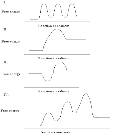 <strong>The graphs below all represent the same chemical reaction,but each employing a different catalyst.Which enzyme uses the most efficient mechanism of catalysis?  </strong> A)See Graph I. B)See Graph II. C)See Graph III. D)See Graph IV. <div style=padding-top: 35px> 