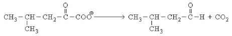 <strong>Which coenzyme is likely involved in the reaction shown below? </strong> A)TPP. B)Biotin. C)Coenzyme A. D)FMN.