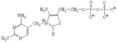 <strong>The structure shown below is which coenzyme? </strong> A)QH₂. B)Vitamin B<sub>12</sub>. C)Biotin. D)Thiamine pyrophosphate.
