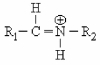 <strong>Which functional group is shown below? </strong> A)Schiff base. B)Secondary amine. C)Amide. D)Peptide bond.