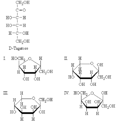 <strong>Which is a product of the intramolecular cyclization of D-tagatose to form a furanose?  </strong> A)I B)II C)III D)IV <div style=padding-top: 35px> 