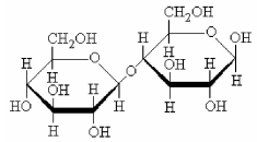 What is the name of the disaccharide shown below that is formed by joining two monomers of D-glucose?