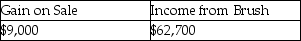 <strong>If Bird uses a beginning-of-the-year sale assumption, its gain on sale and income from Brush for 2014 will be</strong> A) B) C) D)