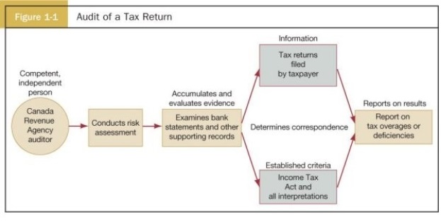 Use your knowledge of the definition of auditing and Figure 1-1: Audit of a Tax Return to explain how an auditor would conduct a privacy audit.