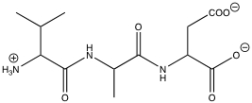 <strong>What is the sequence of the following peptide? </strong> A)Ile-Ala-Glu B)Val-Ala-Asp C)Leu-Gly-Glu D)Val-Ala-Asn E)Val-Gly-Gln