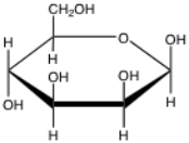 <strong>Which of the following would be the correct Haworth projection for \alpha -D-gulose, whose linear form is seen below? </strong> A) B) C) D) E)None of the above