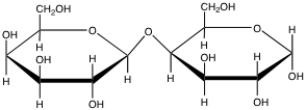 <strong>Which of the following designations best characterizes the following disaccharide? </strong> A)Glc \alpha (1 \rarr 4)Gal B)Glc \beta (1 \rarr 4)Gal C)Gal \alpha (1 \rarr 4)Gal D)Gal \beta (1 \rarr 4)Gal E)none of the above