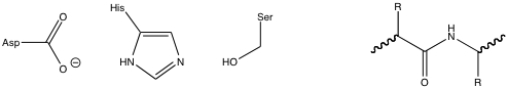 Given the chymotrypsin catalytic triad and the peptide substrate, draw the first tetrahedral intermediate of the chymotrypsin mechanism.