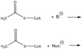 The most common reactions of acetyl acetyl-CoA are with a nucleophile or with a base. Show the reactions of acetyl CoA with the generic base and the generic nucleophile: