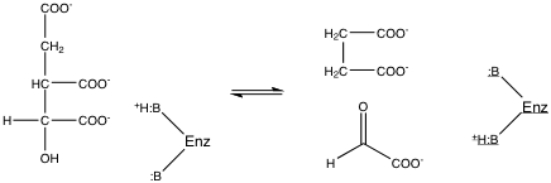 The glyoxylate cycle reaction catalyzed by isocitrate lyase is a reversible aldol condensation. As it is written below, the reaction is an aldol cleavage. Propose a mechanism for this reaction using the acid and base supplied by the enzyme.  <div style=padding-top: 35px> 