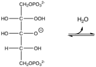Reaction of ribulose-1,5-bisphosphate with oxygen and then water results in the following intermediate. Show the resulting products from this reaction: