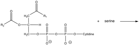 Show the products of the following reaction and name them: