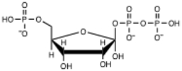 <strong>Which of the following is the correct structure for PRPP?</strong> A) B) C) D) E)none of the above