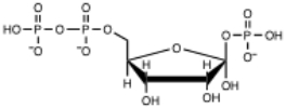 <strong>Which of the following is the correct structure for PRPP?</strong> A) B) C) D) E)none of the above