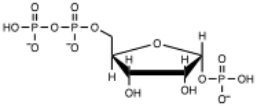 <strong>Which of the following is the correct structure for PRPP?</strong> A) B) C) D) E)none of the above