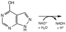 Show the reaction of allopurinol with xanthine dehydrogenase and explain how this molecule functions as an inhibitor of the enzyme.