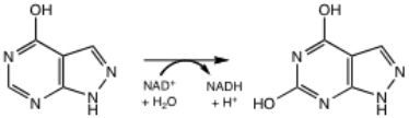   The product, alloxanthine, binds extremely tightly to the enzyme. Thus, allopurinol is a suicide substrate since once the enzyme acts upon it, it becomes almost permanently inhibited.