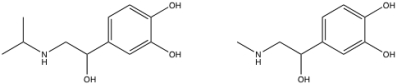 <strong>The structures of isoproterenol (left)and epinephrine are shown below. What is isoproterenol? </strong> A)agonist B)antagonist C)inverse agonist D)irreversible agonist E)non-competitive antagonist