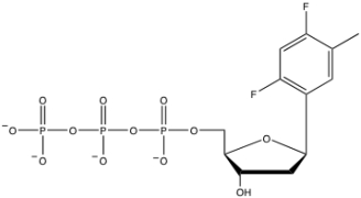 <strong>The fact that the following molecule serves as a substrate for DNA polymerase in place of dTTP proves what issue with regard to DNA replication? </strong> A)DNA polymerase is highly error prone B)hydrogen bonding to N-3 of thymine is not critical for substrate recognition C)base stacking is the true driving force for nucleotide placement D)substrate shape might be as important as hydrogen bonding for DNA polymerase E)none of the above