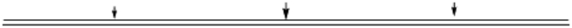 If a segment of a eukaryotic chromosome contained three origins of replication (at the sites indicated with arrows), how would the segment appear when replication was about half completed?