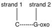 Which is a possible outcome when guanine is oxidized to 8-oxoguanine in the following segment of DNA?