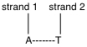 <strong>Which is a possible outcome when guanine is oxidized to 8-oxoguanine in the following segment of DNA? </strong> A) is the only possible outcome B) is the only possible outcome C) is the only possible outcome D)both and are possible outcomes E)both and are possible outcomes