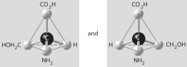 <strong>Which of the pairs of molecular structures shown below do NOT depict enantiomers (enantiomeric forms)of the same molecule?</strong> A) B) C) D) E)