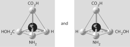 <strong>Three or four of the pairs of structures shown below depict enantiomers (enantiomeric forms)of the same molecule. Which pair, if any, are NOT enantiomers of a single molecule? If each of the pairs depicts enantiomers, choose answer F.</strong> A) B) C) D) E) F)Both illustrations in each of the other answer choices depict enantiomers of the same molecule.