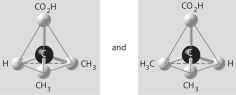 <strong>Three or four of the pairs of structures shown below depict enantiomers (enantiomeric forms)of the same molecule. Which pair, if any, are NOT enantiomers of a single molecule? If each of the pairs depicts enantiomers, choose answer F.</strong> A) B) C) D) E) F)Both illustrations in each of the other answer choices depict enantiomers of the same molecule.