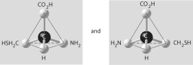 <strong>Three or four of the pairs of structures shown below depict enantiomers (enantiomeric forms)of the same molecule. Which pair, if any, are NOT enantiomers of a single molecule? If each of the pairs depicts enantiomers, choose answer F.</strong> A) B) C) D) E) F)Both illustrations in each of the other answer choices depict enantiomers of the same molecule.