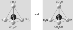 <strong>Three or four of the pairs of structures shown below depict enantiomers (enantiomeric forms)of the same molecule. Which pair, if any, are NOT enantiomers of a single molecule? If each of the pairs depicts enantiomers, choose answer F.</strong> A) B) C) D) E) F)Both illustrations in each of the other answer choices depict enantiomers of the same molecule.